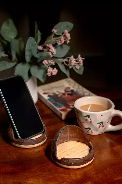 Coconut Shell Mobile Stand