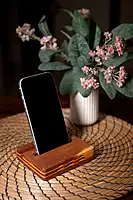 Sound Amplifier Mobile Stand