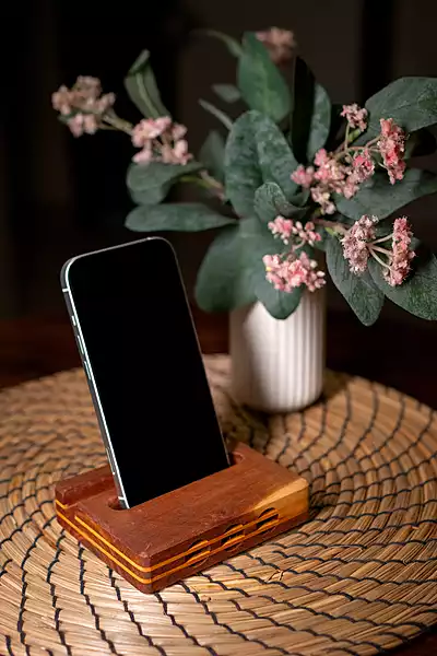 Sound Amplifier Mobile Stand
