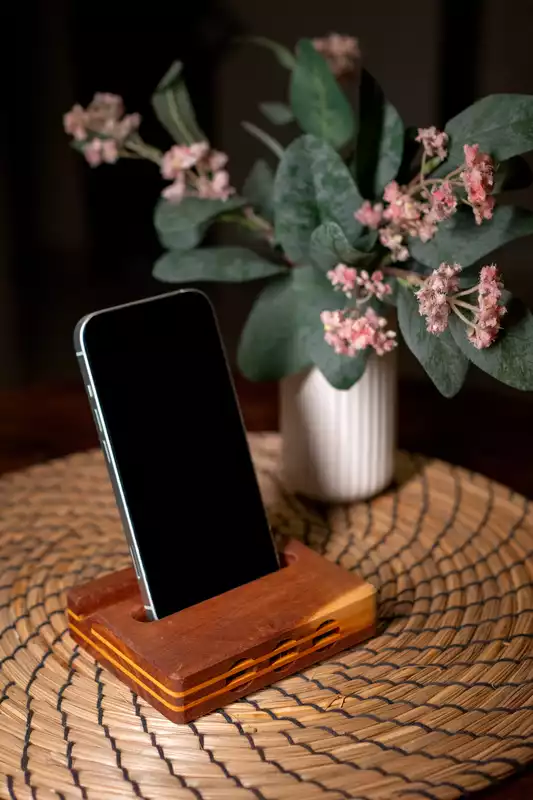 Sound Amplifier Mobile Stand